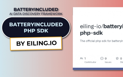 Warum ein SDK der Schlüssel zur schnellen Nutzung von AI Data Discovery ist